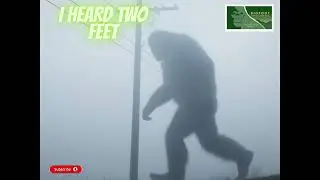 Bigfoot Sightings EXPOSED