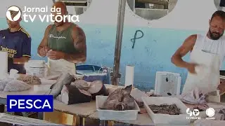 Está proibido pescar com traineiras no litoral capixaba