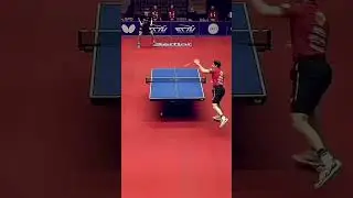 What a massive point against Timo Boll ❤️✨ #tabletennis #tabletennisskills #pingpong #pingpongskills