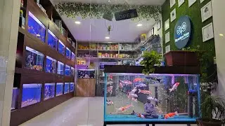 Aquarium Prime Fish Shop