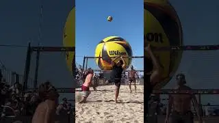 David Lee and Cody Caldwell #volleyball #shorts #short #shortvideo #jayrachz #jayrachz9999 #haikyuu