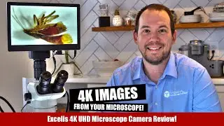 The NEW Accu-Scope Excelis 4K UHD Microscope Camera with GIVEAWAY - Good Morning Microscope