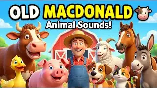 Old MacDonald Had a Farm 🐄🐷 | Animal Sounds Song for Kids | Farm Animals | CK4KIDS 2026