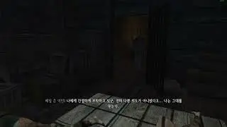 Enderal Veiled Woman