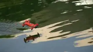 Swellpro SPRY water resistant drone