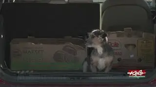 Organizations getting food to those in need