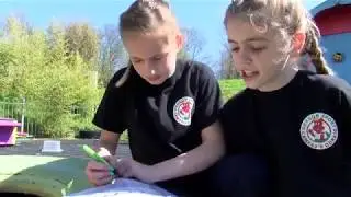 Croeso i Ysgol Gymraeg Dewi Sant