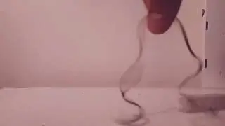 CRAZY ELASTIC ( FUN moove )