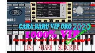 CARA  VIP ORG-2020/2021, VIP dg KORG I ONE 2017