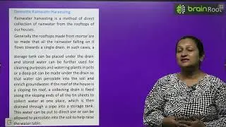BRAIN ROOT SCIENCE SPARK CLASS 6 CHAPTER 11 NATURE'S TREASURE