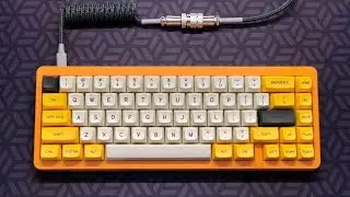 KBDFans D65 Mechanical Keyboard Unboxing & Build | KimFromRegina