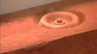 MLCS How to Make Rosettes
