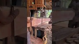 Mahogany Wood Cutting Sawmill #woodworking #mahogany #wood #design #woodwork #sawing #bmw