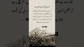 HazratAli#WisdomOfAli #IslamicQuotes #islam #SpiritualGuidance #GoldenSayings#viralshort
