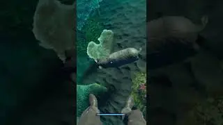 Как я поиграл в Stranded Deep