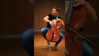 I Wanna Be Your SlaveSong by M&aring;neskin - Cello Cover#maneskin #iwannabeyourslave #cello