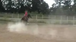 Siera playday horse