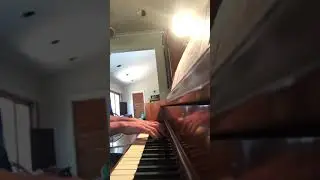 Legend of Zelda The Windwaker, Outset island theme Piano