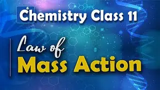 Law of Mass Action - Chemical Equilibrium - Chemistry Class 11