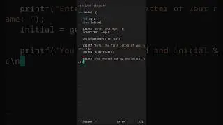 User Input (scanf and getchar) in C