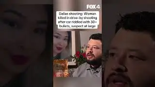 Woman killed in drive-by shooting, car shot 30+ times