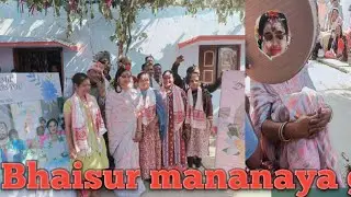 Adivasi uraon samaj paramparik Ritiniti dastur ker anusar se Bhaisur manaya jata hai
