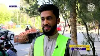 شاروالی هرات به هدف حفظ زیبایی شهر و فضای سبز بلوارها 1500 متر کتاره فلزی  نصب نموده.
