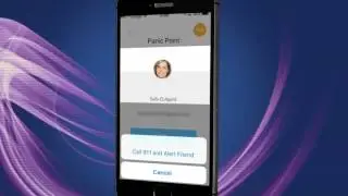 Pinpoint Appointment Features   Panic Point