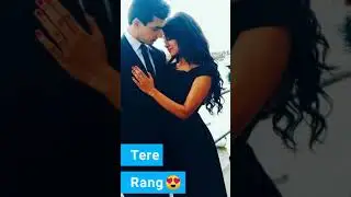 Simba Latest Song.. Tere bin Fullscreen WhatsApp status Female lyrics.😍❤️💏