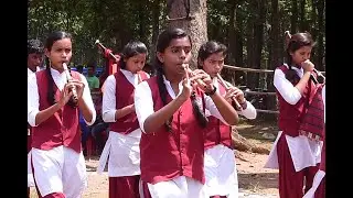GREEN PARK LAKRA FADA JARIYA 2019 MATCH KA SUBHAARAMBH