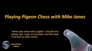 Mike Jones Playing Pigeon Chess