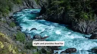 Proverbs Chapter 31 | English Standard Version | Crystal Blue River