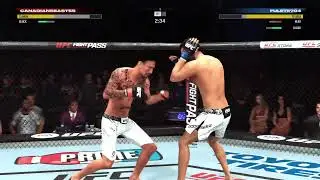 Ufc customs & online career
