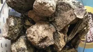 Ambergris India (Vlog 1)