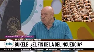 Bukele ¿el fin de la delincuencia? Dr Carlos Hairabedián