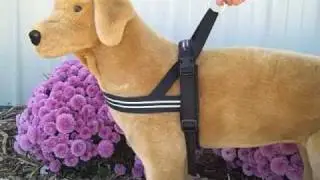 ComfortFlex Sport Harness for dogs a www.HelpingUdders.com