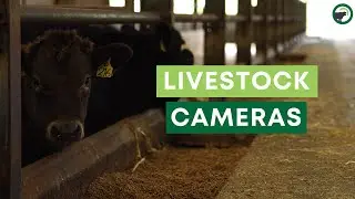 Livestock cameras&hellip; Not just for calving and lambing