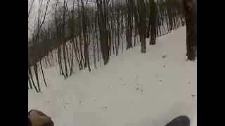 Theibault skis the trees.MP4