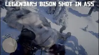 Red Dead Redemption 2 Legendary Bison Shot in Ass*