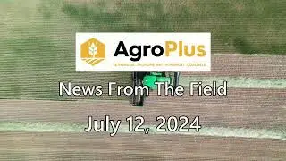 AgroPlus News from the field July 12, 2024