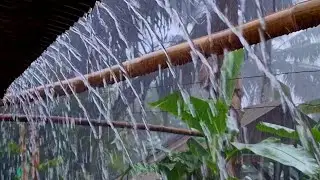 Heavy Rain So Intense Your Mind Goes Silent 🌧️ Deep Sleep Fast | No Music Rain Sounds for Insomnia