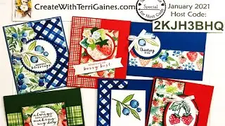 Fun Cards made with Berry Blessing Stamp Set & Berry Delightful Designer Series Paper