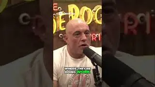 Joe Rogan talks about the covid lab leak with Elon Musk