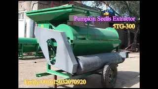 5TG 300 Pumpkin Seeds Extractor Pumpkin Picker Harvester Pumpkin Seeds Separating Machine