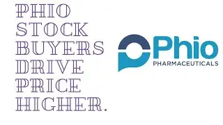 Optionable Penny PHIO Stock: Drops Positive Data On Trials Buyers Swoop. Phio Pharmaceuticals Corp