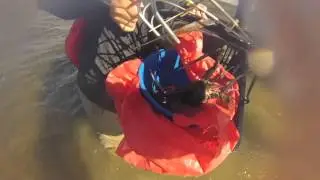 Racking Blue Swimmers - Thompson Beach