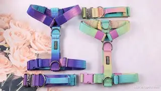 Custom Tactical Dog Harness Dog Collar Dog Leash with Tie Dye Gradient Colour