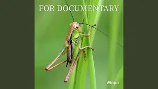 For Documentary