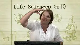 Gr10 LS Cell division mitosis
