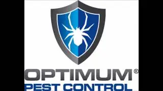 Optimum Pest Control Gold Coast